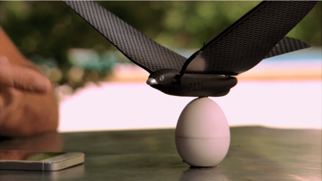 Bionic Bird with egg